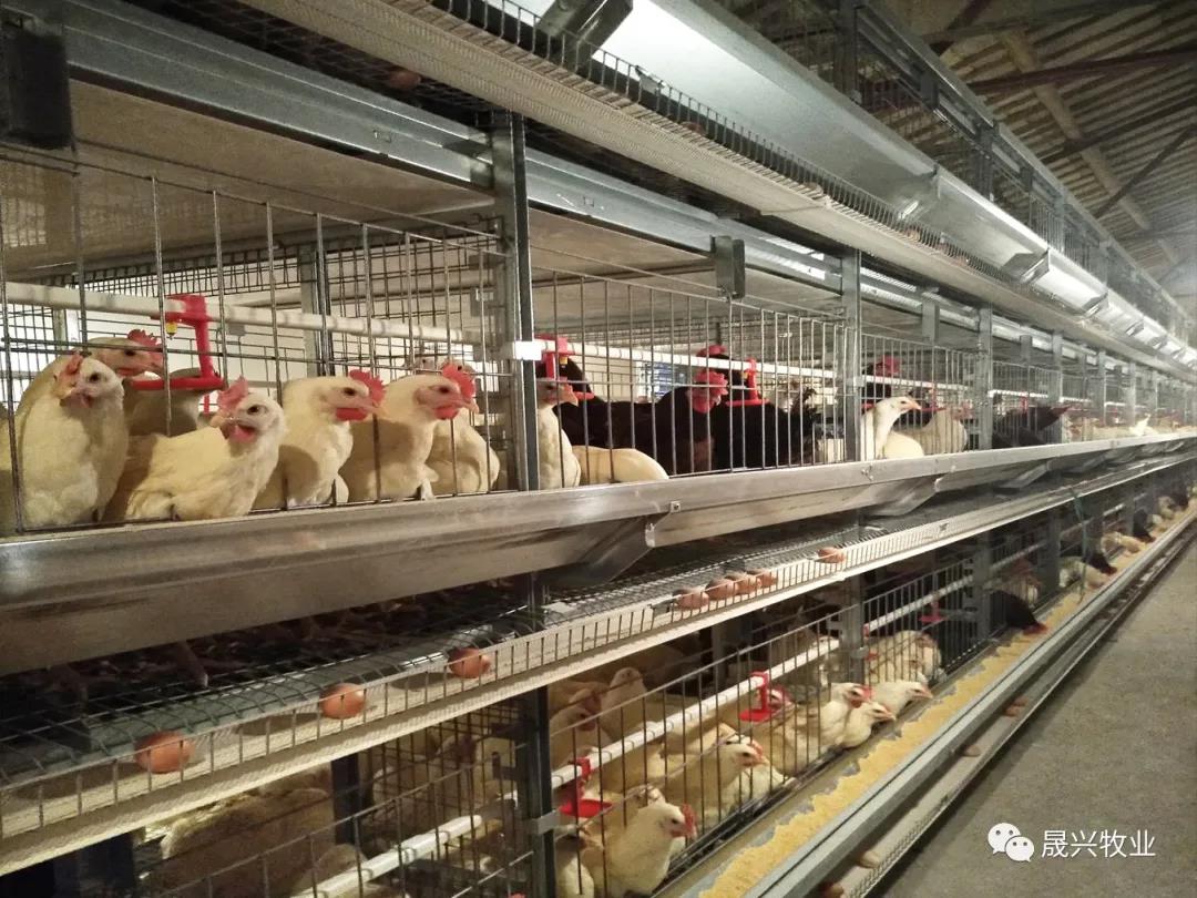 尊龙凯时人生就是搏·(中国区)官方网站