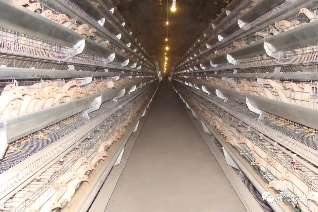 尊龙凯时人生就是搏·(中国区)官方网站