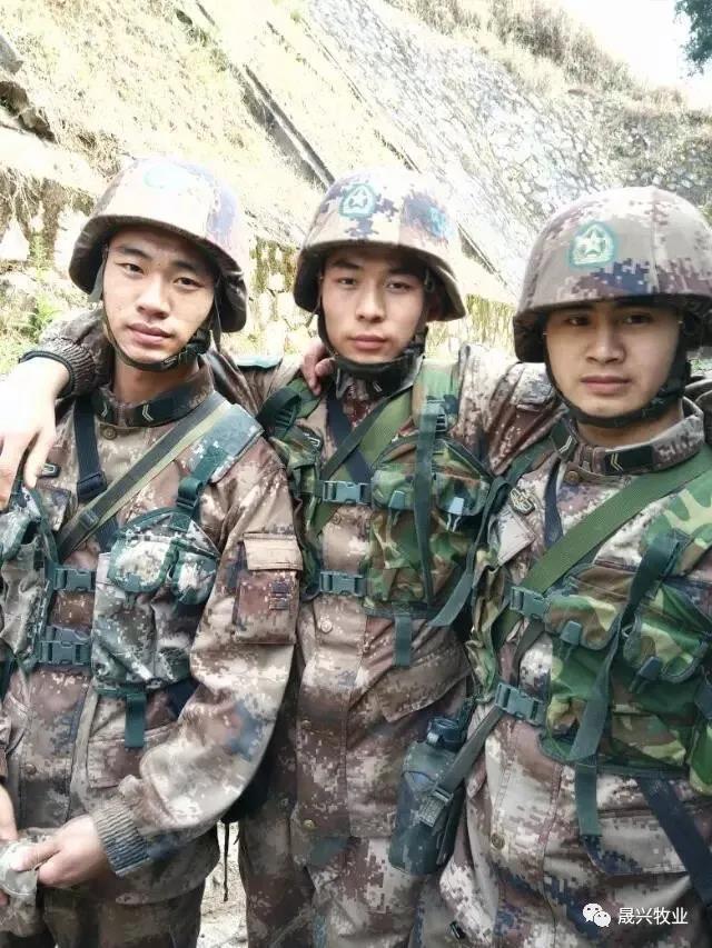 尊龙凯时人生就是搏·(中国区)官方网站