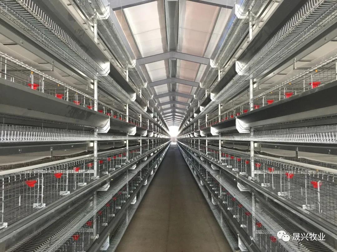 尊龙凯时人生就是搏·(中国区)官方网站