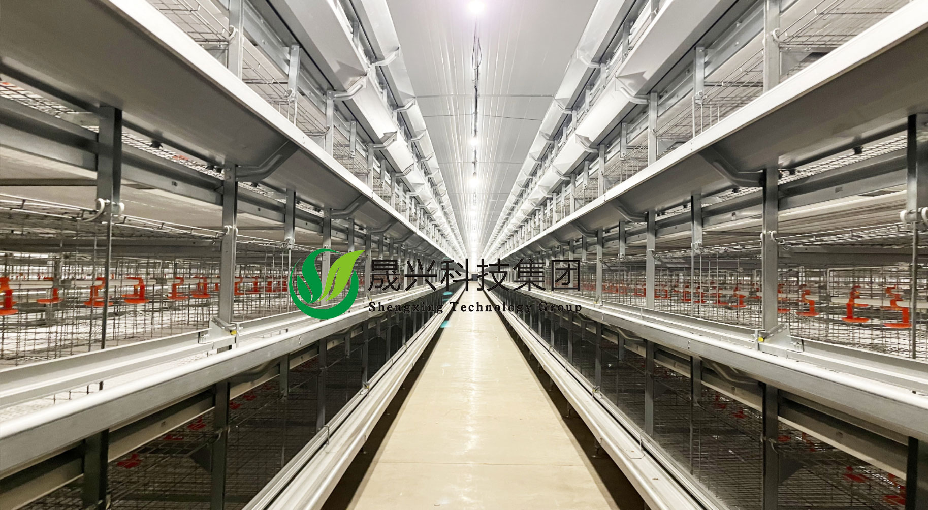 青年鸡养殖装备