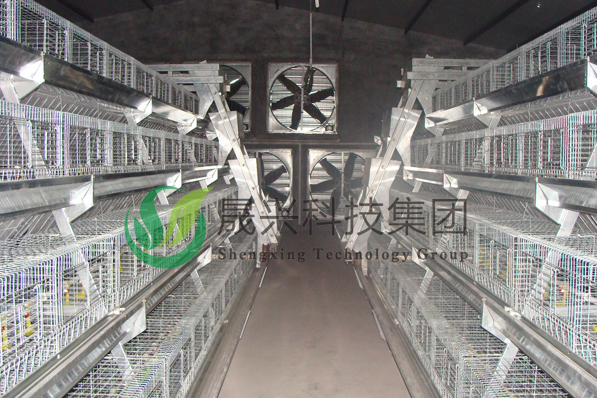 青年鸡养殖装备