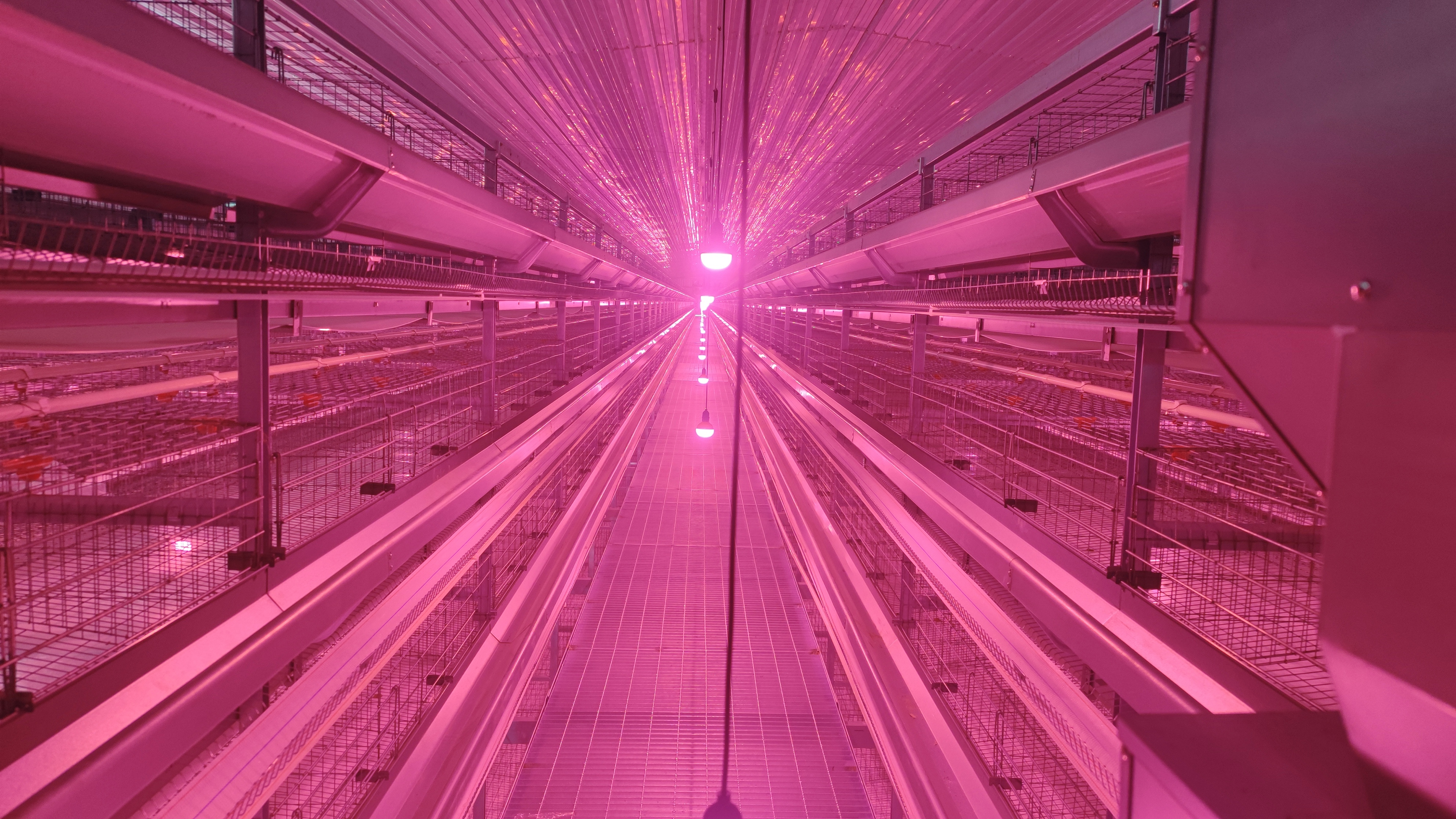 尊龙凯时人生就是搏·(中国区)官方网站