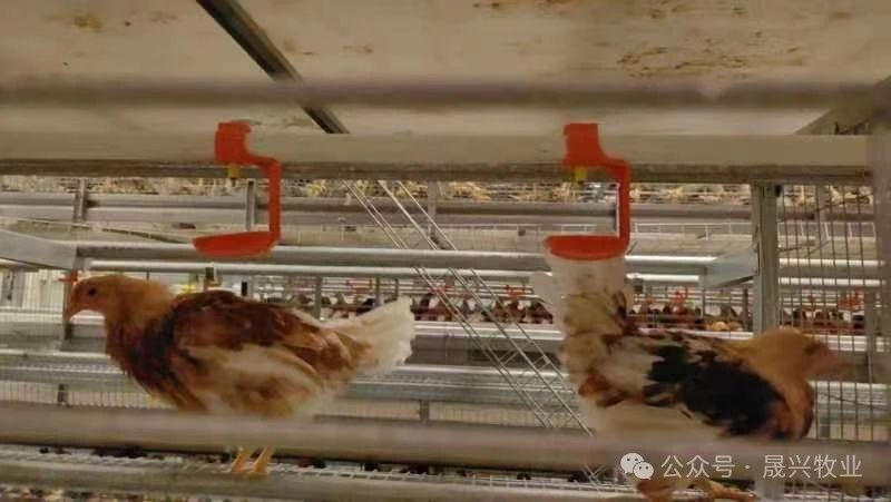 尊龙凯时人生就是搏·(中国区)官方网站